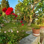 Casa Delle Rose アパート *