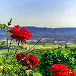 Casa Delle Rose モンテムルロ